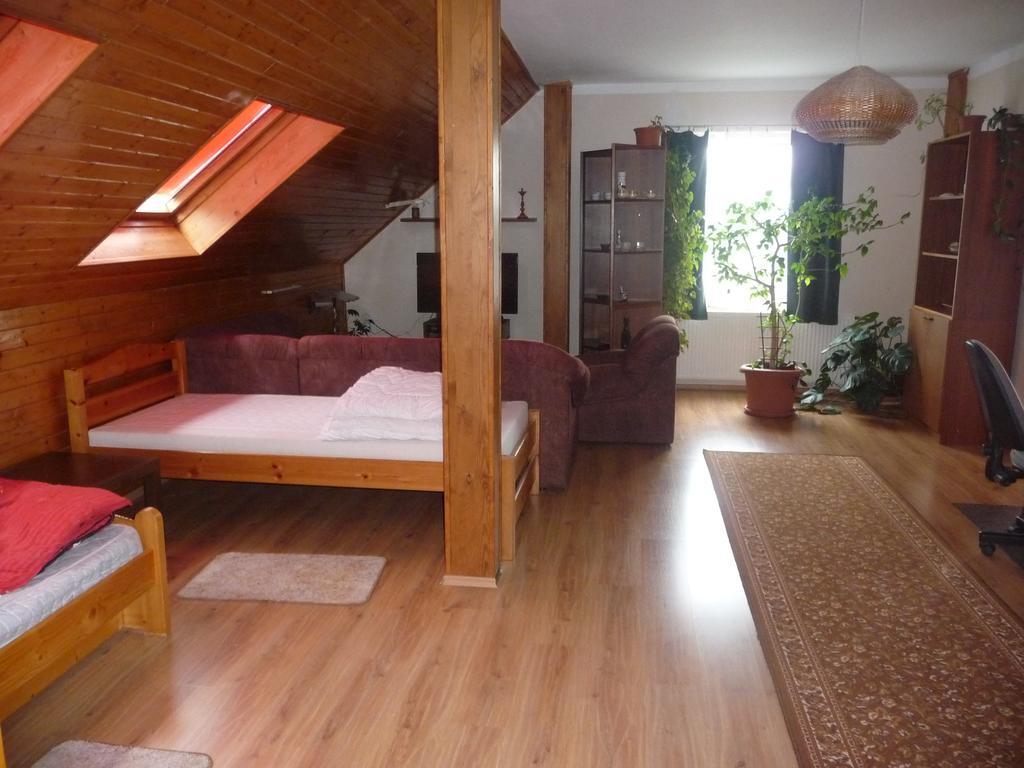 Apartment Rychtrovna ヘイニツェ エクステリア 写真