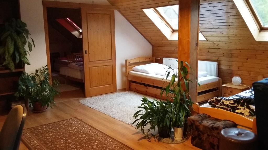 Apartment Rychtrovna ヘイニツェ エクステリア 写真