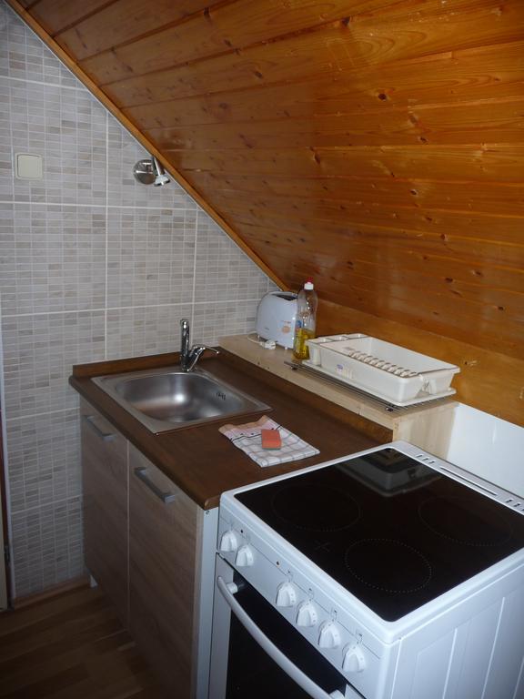 Apartment Rychtrovna ヘイニツェ エクステリア 写真